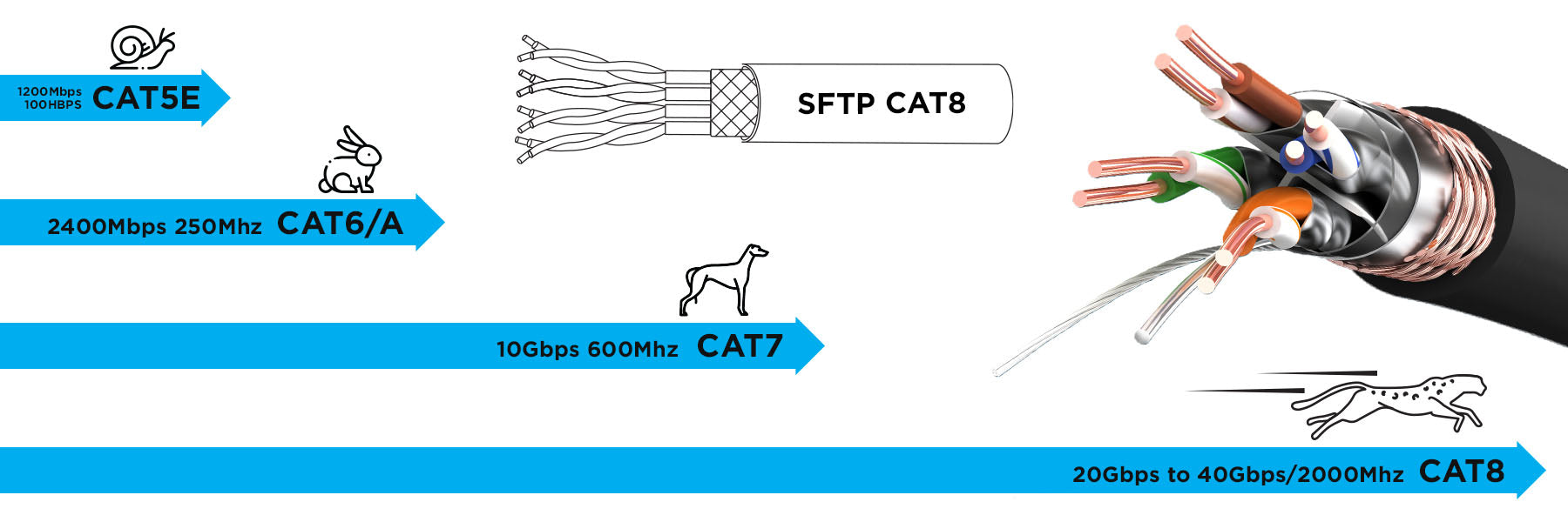 Duronic BK 15m Network Cable CAT6a Ethernet LAN Patch Cat 6 A RF45 Wire  Gigabit FTP Gold Headed Shielded - High Speed 600MHz Premium Quality