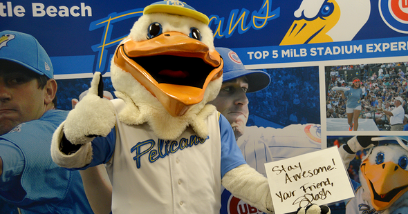 Personal Message From The Myrtle Beach Pelicans Mascot Splash Myrtle Beach Pelicans Official Store