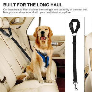 dog car safety belt