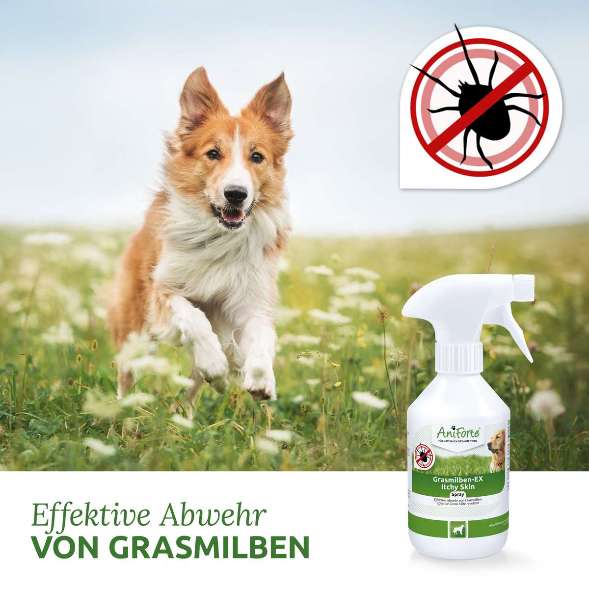 GrasmilbenEX Spray WOOFSTUFF SHOP FOR DOGS