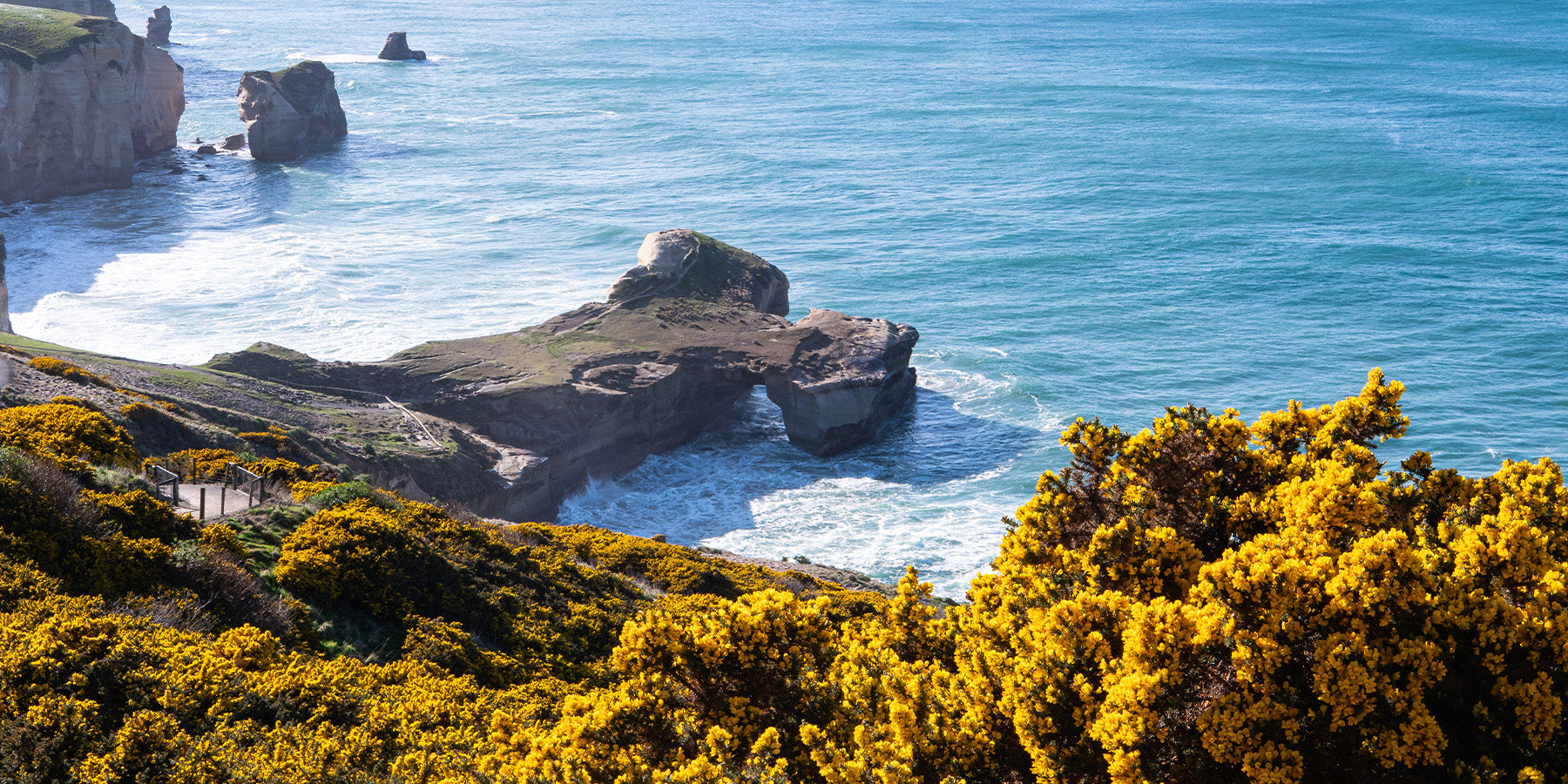 Catlins Coast Track