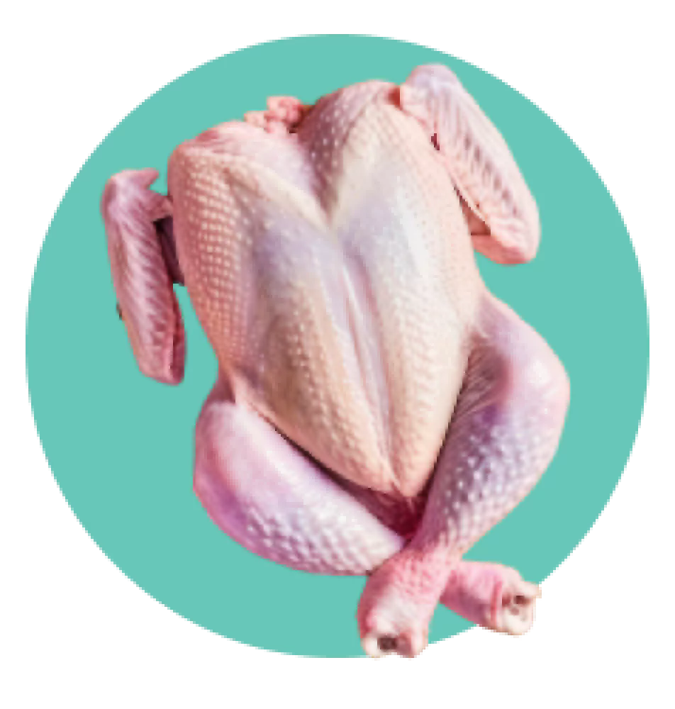 Raw chicken against a teal background, upside down, with crossed legs.