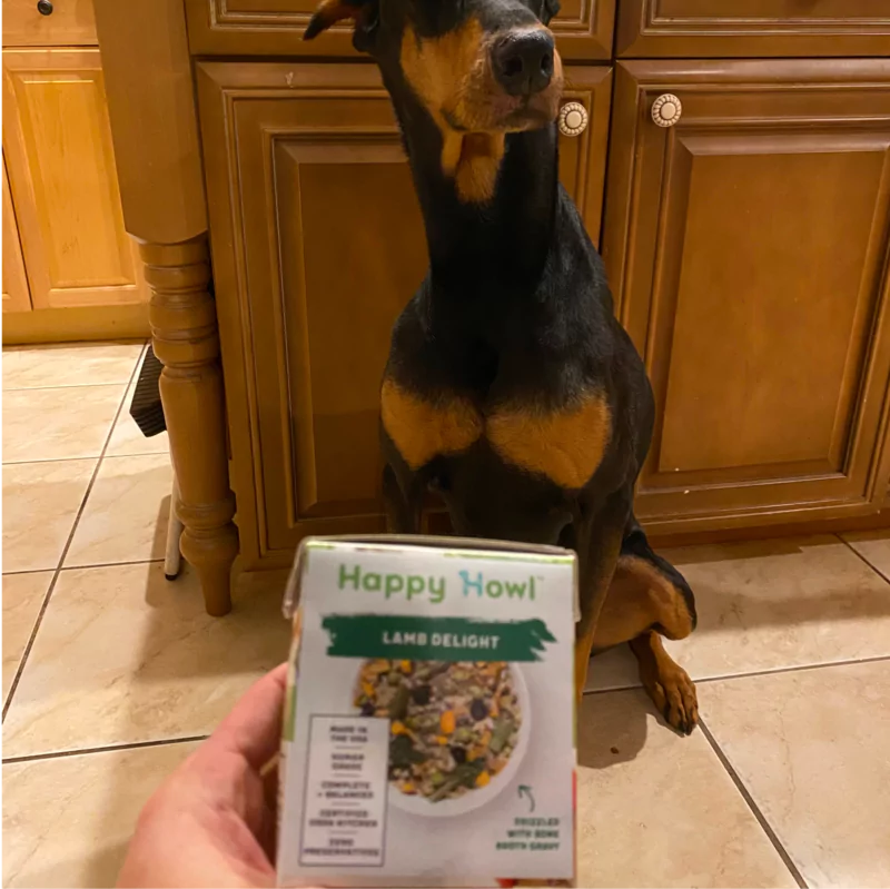 A black and tan dog sitting patiently behind a package of 'Happy Howl Lamb Delight' dog food.