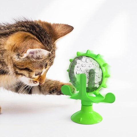 Mit dem Activity Hunde-&Katzenspielzeug ist dein Haustier optimal beschäftigt