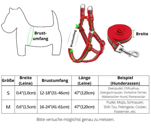 Hundegeschirre