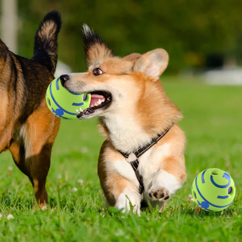 Während Du deinen Alltag erledigst beschäftigt Babble Ball das Interaktive Hundespielzeug deinen besten Freund