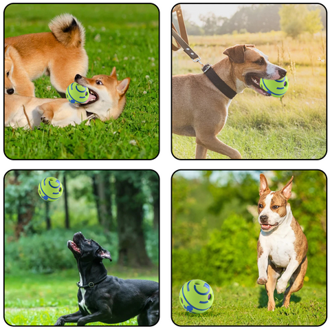 Babble Ball das Interaktive Hundespielzeug ist sowohl für Indoor wie auch Outdoor Aktivitäten geeignet