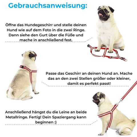 Hundegeschirr