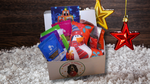 A Good Reasons white holiday box packed with sample sizes of all the treat flavors, a holiday card and a stocking chew toy set on snow.