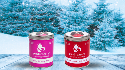 Good Reasons Bella's Barkery Bones and Goody Chew Twos festive holiday tins in red and pink in front of a snow covered scene.