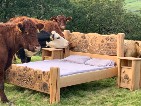 cows and bed