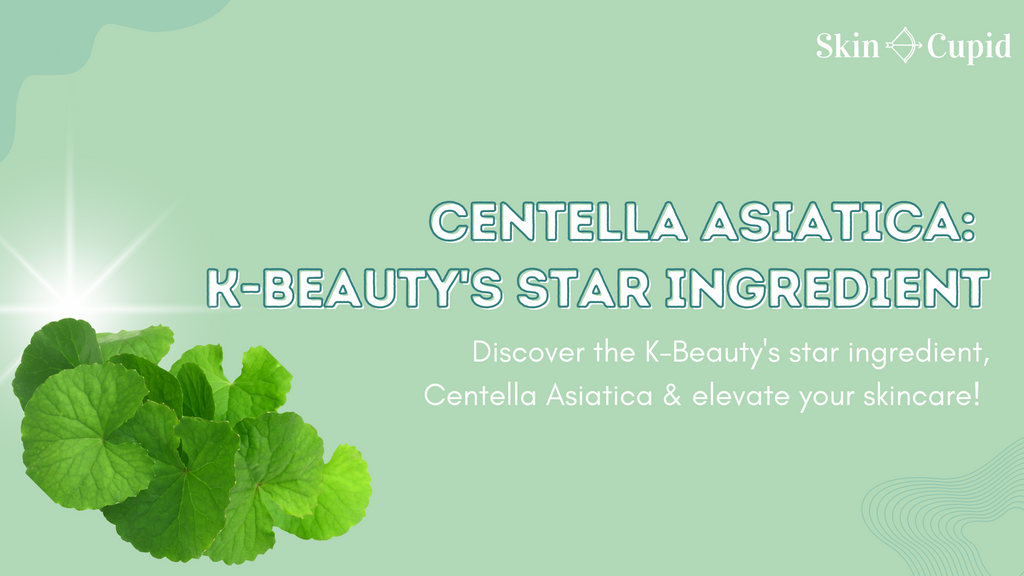 Centella Asiatica: All about K-Beauty's Star Ingredient