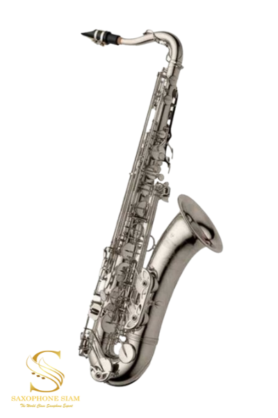 STERLING Bb Tenor Saxophone • Brand New Tenor Sax With Case and