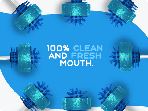 100% clean and fresh mouth using fresh tips.  Image displays the brush and freshening ring from 8 fresh tips around the border of the image.