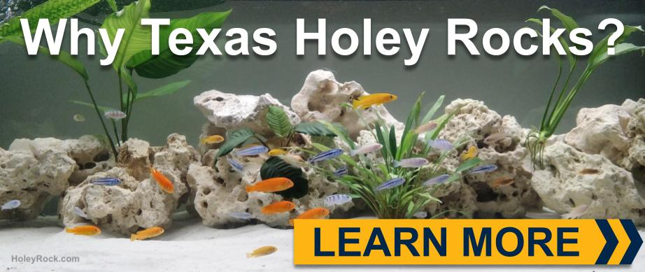 Texas holey Rock, Reef Rock and Lace Rock for your Aqaurium