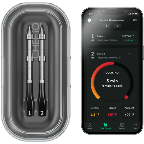 Smart Thermometer (Original)