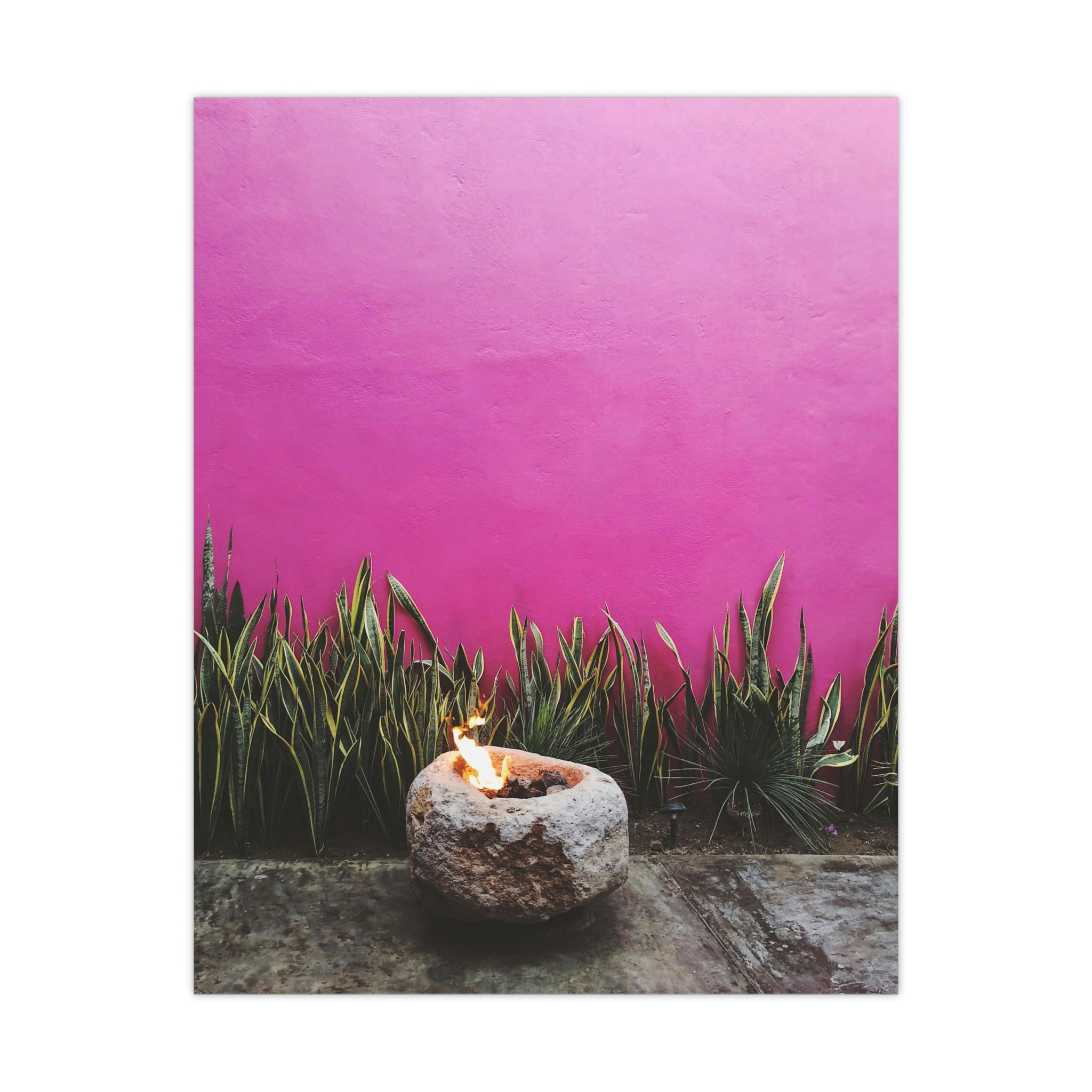 Hot Pink painted wall and organic green - Original photo print on Premium Matte Posters