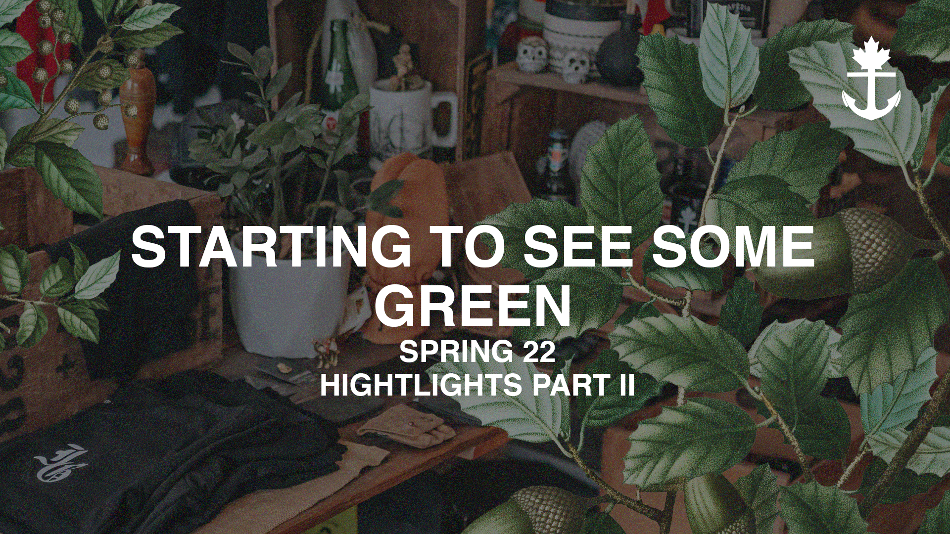 Startign to see some Green! Look-Book & Spring Part Feature.