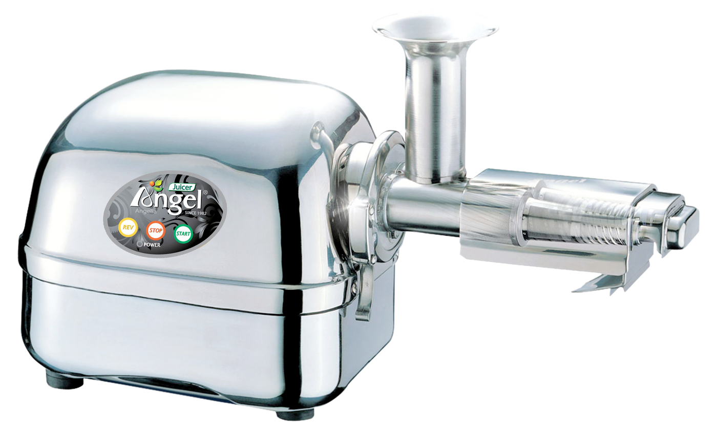 Nacht semester Verzadigen Angel 8500 Cold Press Slow Juicer - Angel Juicer America