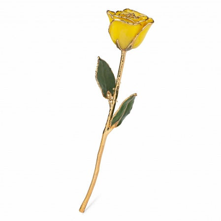 The Forever Rose - Official Site | Real Roses Dipped in 24K Gold