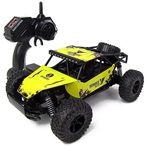 sgota rc car