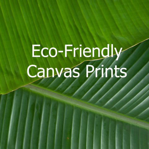 eco friendly canvas prints