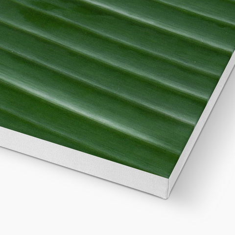 Eco canvas prints on suistanable stretcher bars