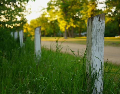 Why fence rot- reason #3 - Bad drainage