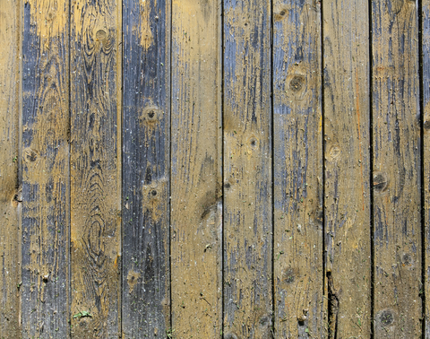 Damaged fence