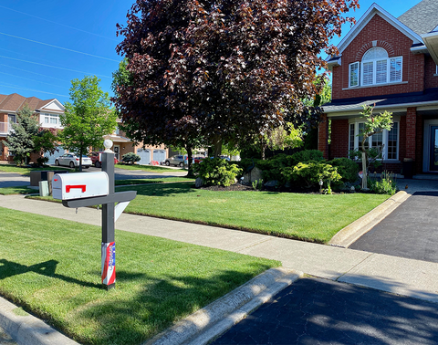 Mailbox Protectors 