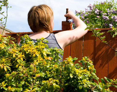 Wood protection - Staining a fence 