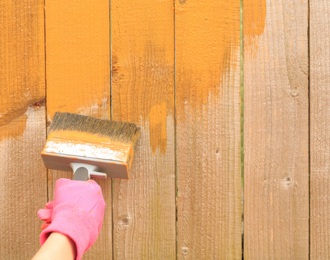 Fence protection with Staining a fence 