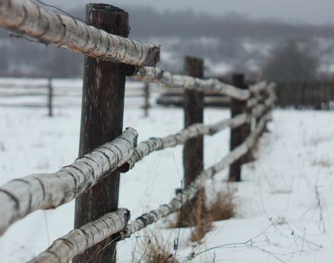 Winter Fence 