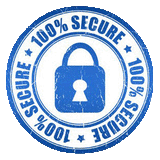 secure shopping icon