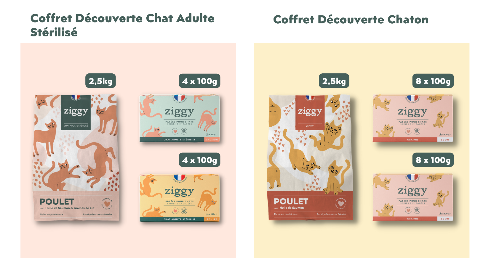 Coffret découverte croquettes et pâtée chat ou chaton Ziggy