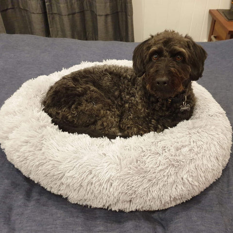 Pawpple Orthopedic Pet Bed - Super Soft Dog Soothing Bed Easy anxiety stress pet bed Pawpple