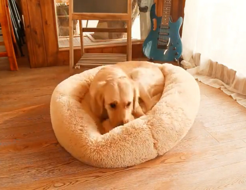 Pawpple Orthopedic Pet Bed - Super Soft Dog Soothing Bed Easy anxiety stress pet bed Pawpple