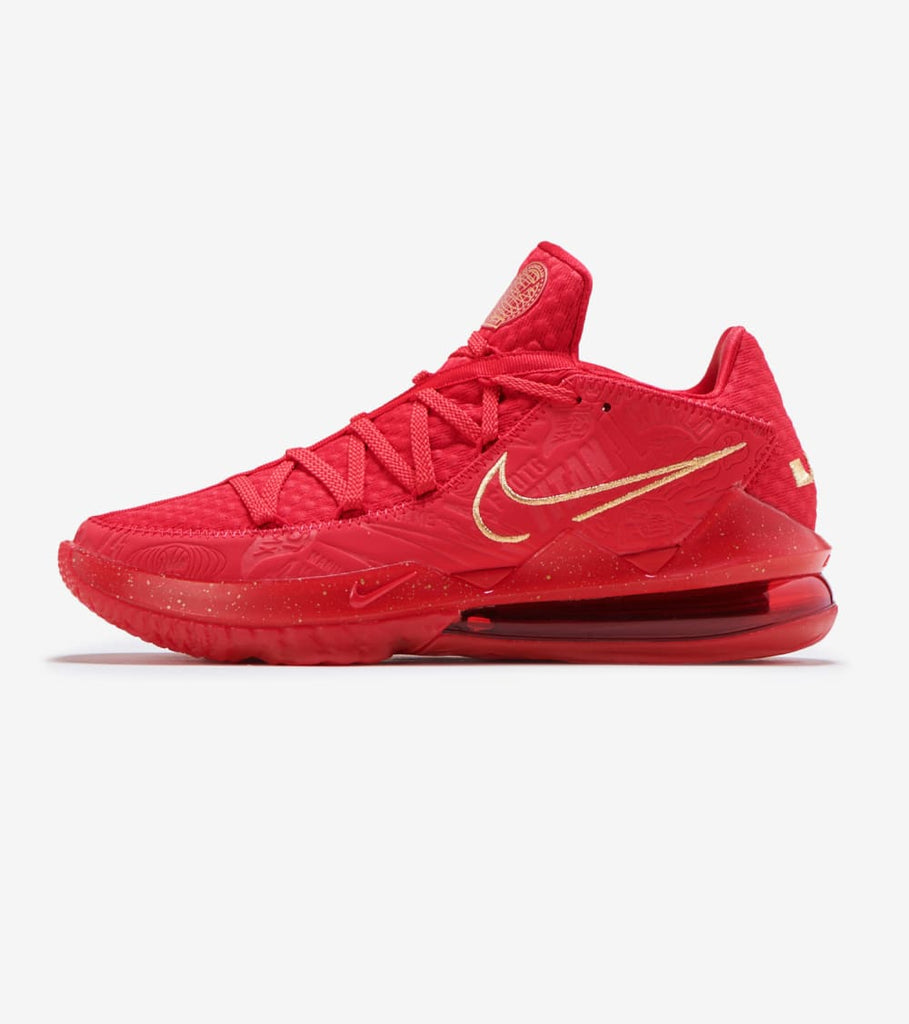 nike performance lebron xvii low