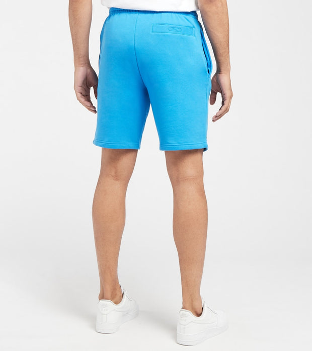 lacoste shorts mens sale