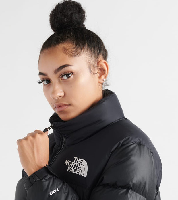 cropped north face jacket