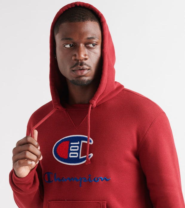 champion century pullover hoodie