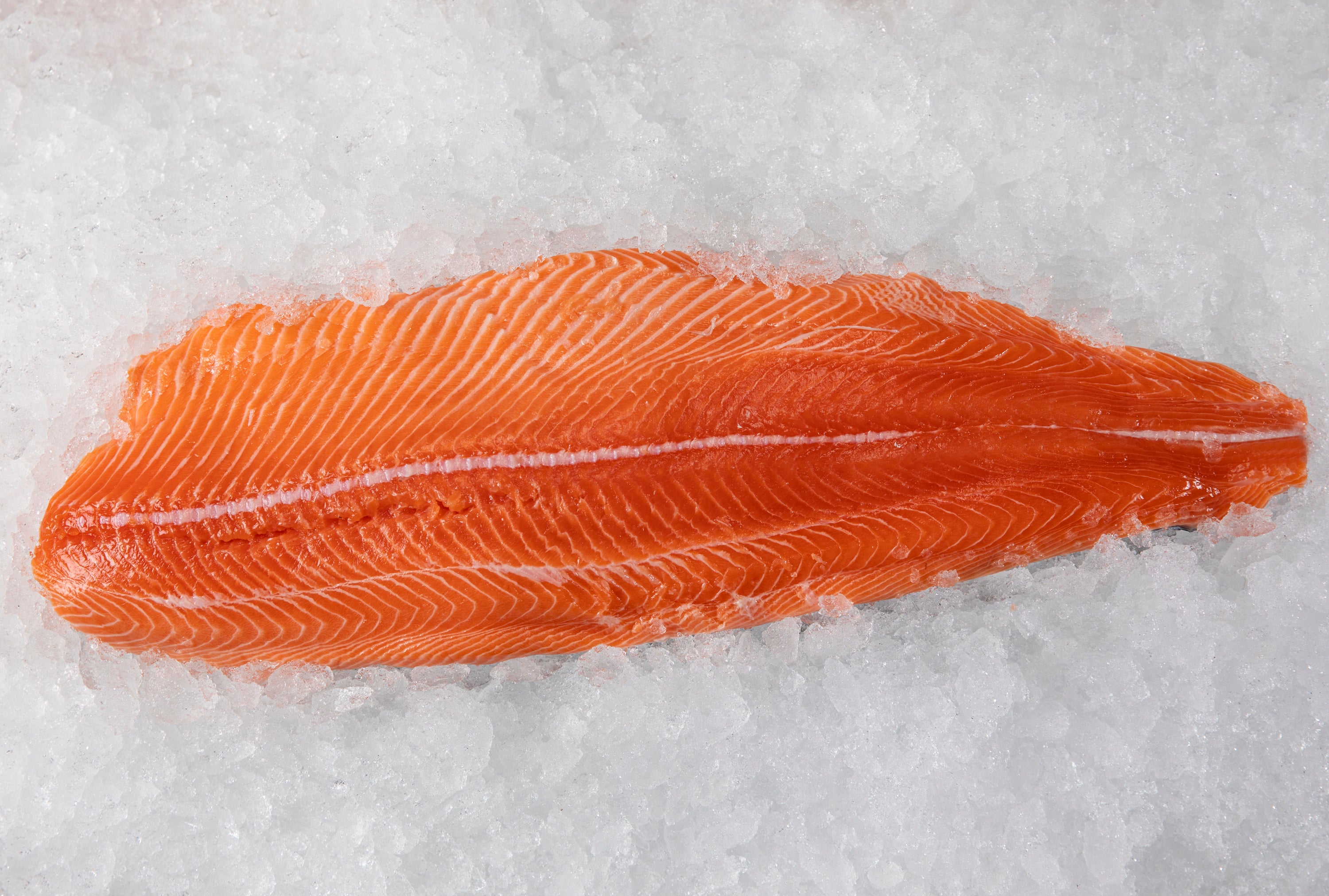 Fresh Canadian King Salmon “Center Cut” Filet $20.00lb – GULFISH TO GO