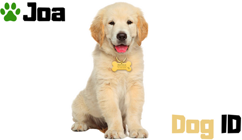 Joa Dog ID  Personalized Dog Collar Hanger  Dog collar tag