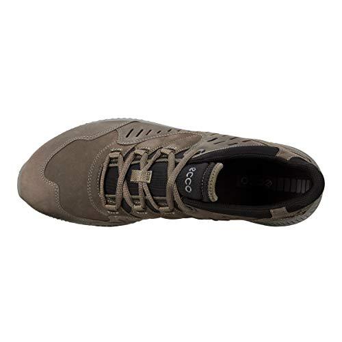 ecco terrawalk hiking shoes