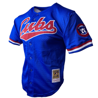 Ryne Sandberg Chicago Cubs Mitchell & Ness Youth Cooperstown