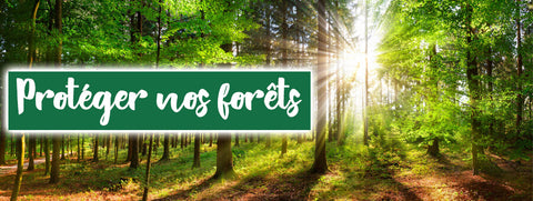 reforestation-montre-en-bois