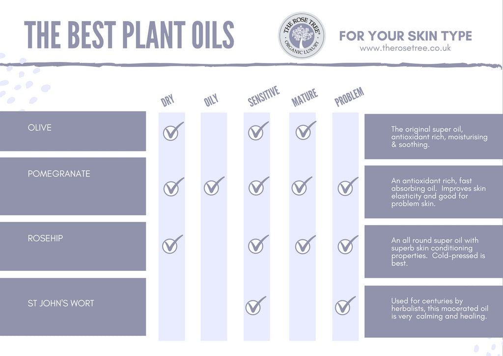 The Best Plant Oils for Skincare page 6