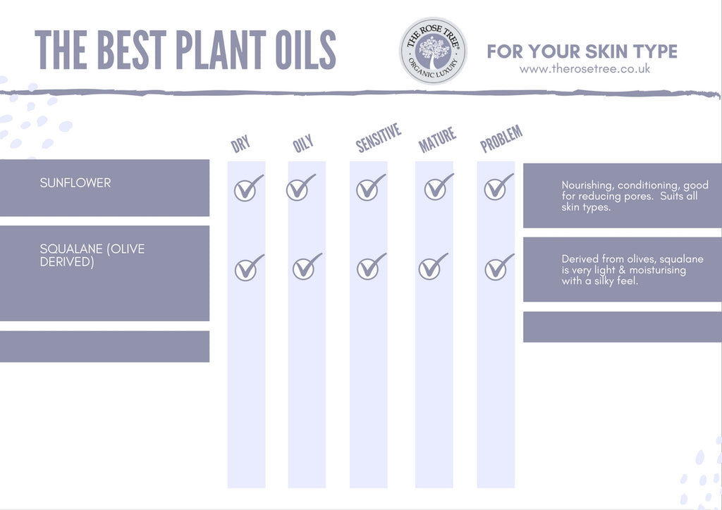 The Best Plant Oils for Skincare page 7