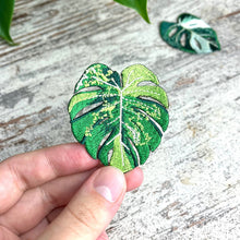 Load image into Gallery viewer, Iron On Patch - Monstera Aurea
