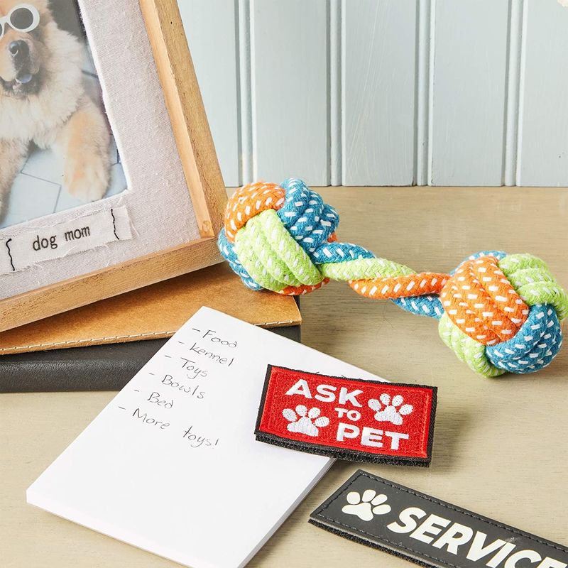 are stores allowed to ask for service dog papers